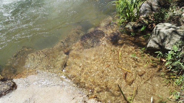 溪水