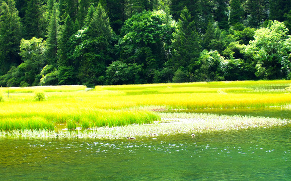 九寨溝