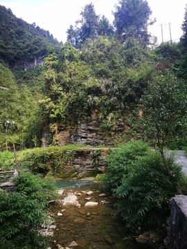 山林 樹林