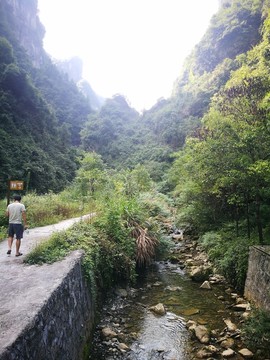 小溪 河流
