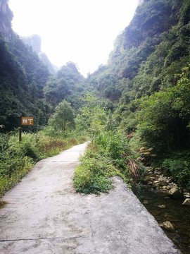 山林 樹林