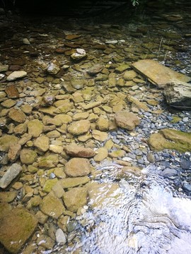 小溪 河流