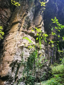 夯沙