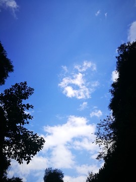藍(lán)天白云