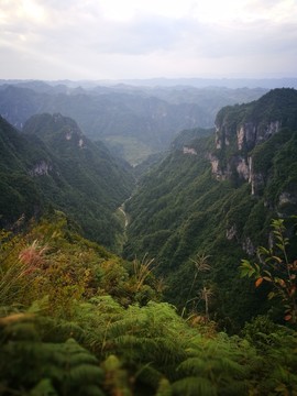 呂洞山