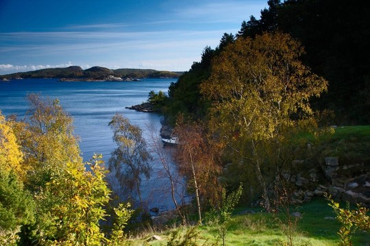 秋天的fjordlandschaft