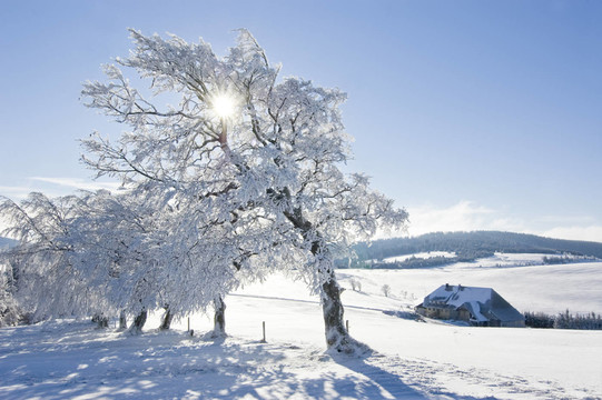 winter200936