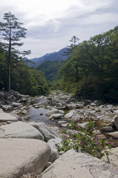 雪岳山國家公園，韓國