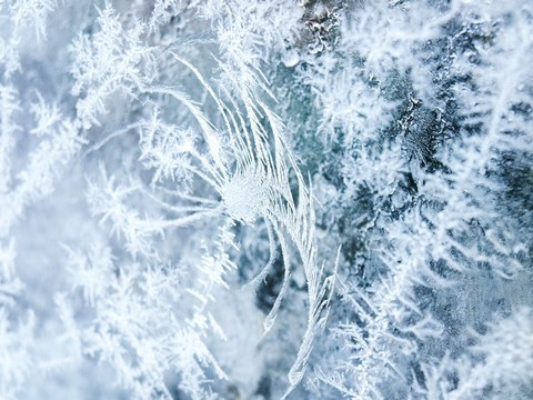 霜模式