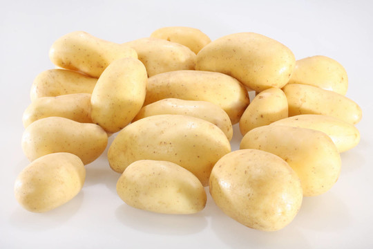 土豆