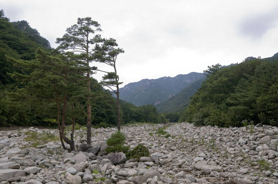 雪岳山國家公園，韓國