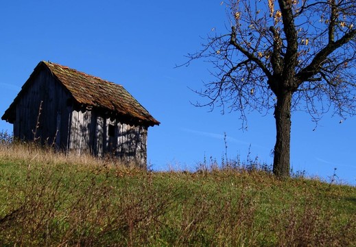 法蘭克櫻桃小屋