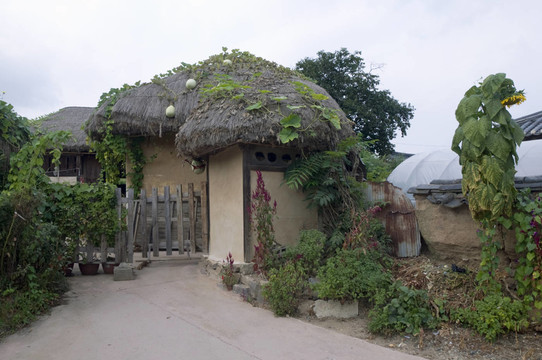 韓國(guó)人種學(xué)村