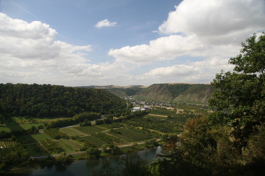 moselblick