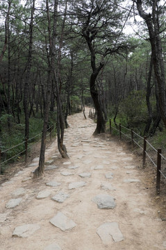路徑，韓國(guó)