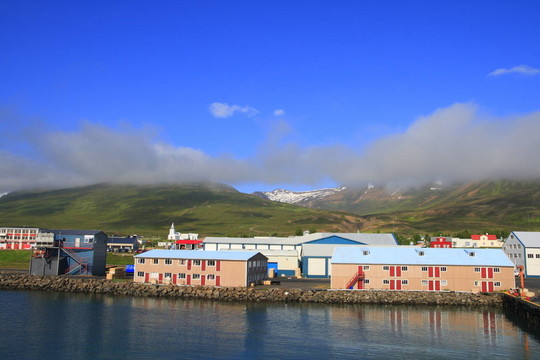 Dalvik