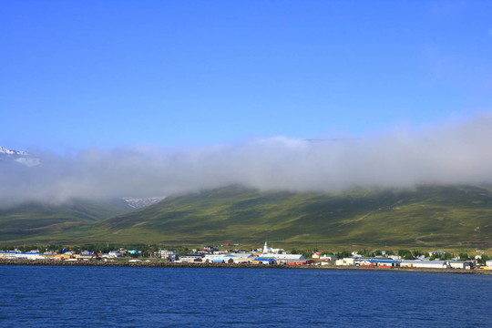Dalvik