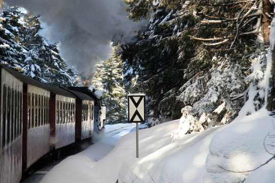 brockenbahn in winter forest