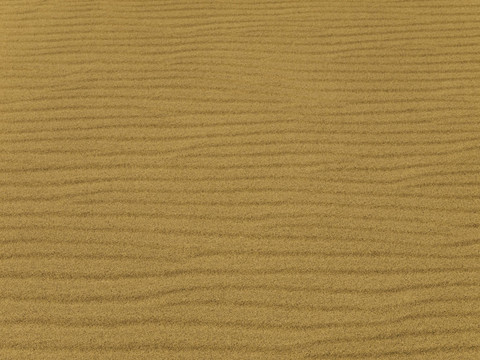 海灘