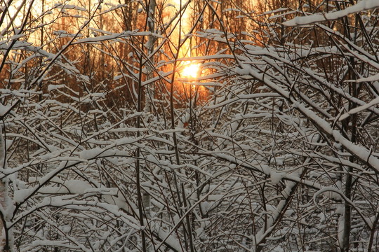 048暖雪
