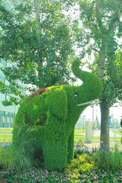 園藝   小象