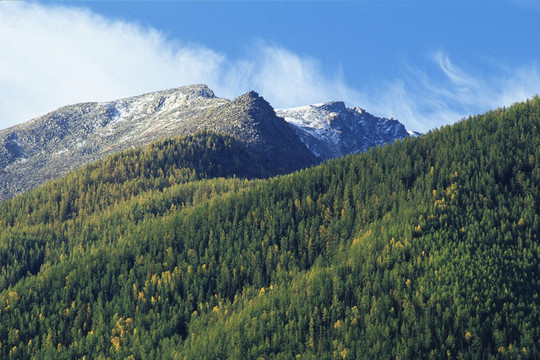 阿爾泰山