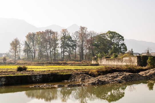 村外農(nóng)田