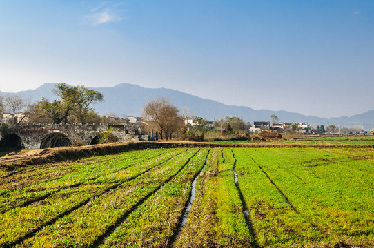 村外農(nóng)田