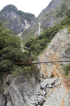 橋