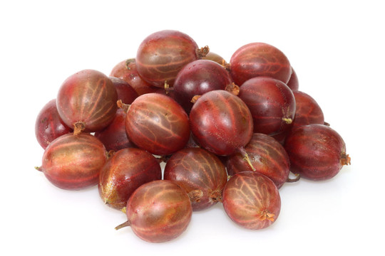 progenies