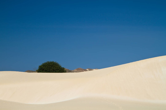 deserto de viana ii