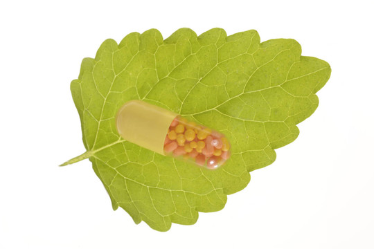 自然療法替代藥物