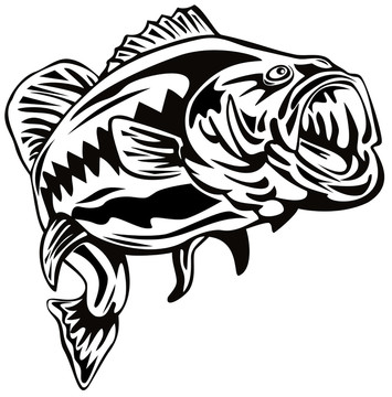 魚