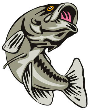 魚