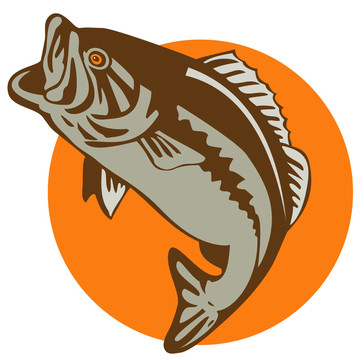 魚