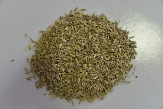小茴
