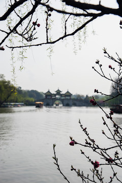 A003747 桃紅柳綠