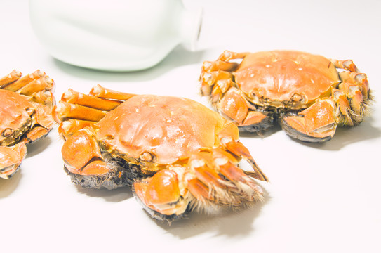 陽澄湖大閘蟹