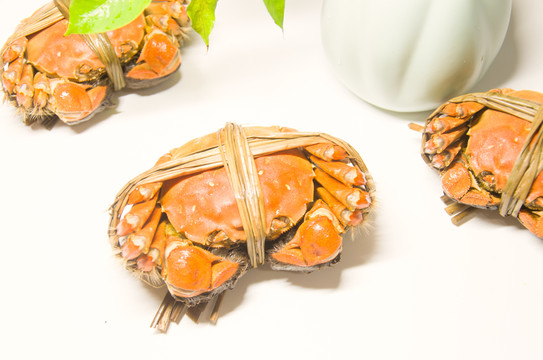陽澄湖大閘蟹