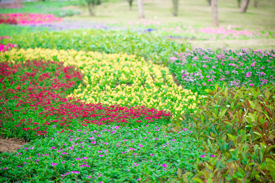 花園背景