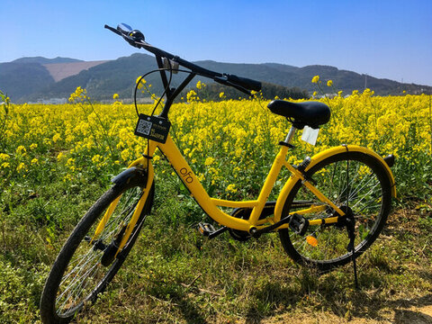 小黃車(chē)