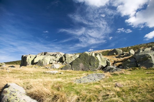 stone