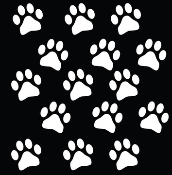 動物插圖