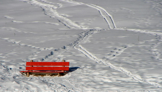 雪地里的足跡