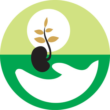 樹