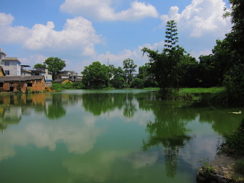 水塘