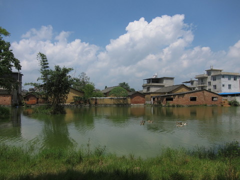 農村水塘