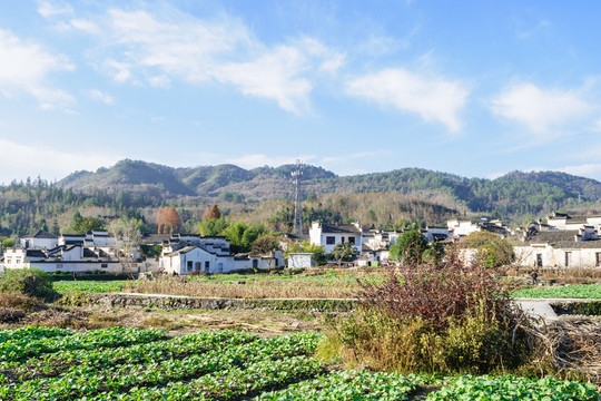 西遞村