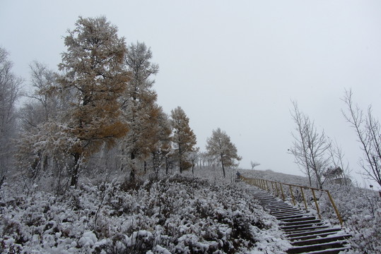 大興安嶺冰雪世界