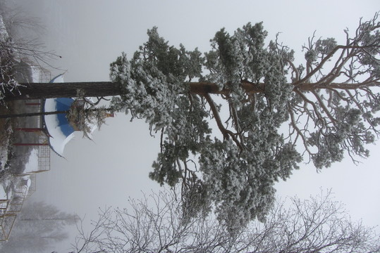 大興安嶺冰雪世界